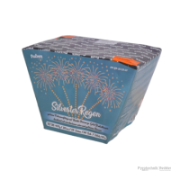 Silvester Regen, 25 Schuss