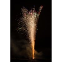 Forest Ranger, 19 Schuss